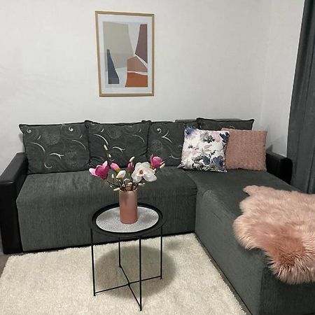 Apartmán Apartman Aleksic Jagodina Exteriér fotografie