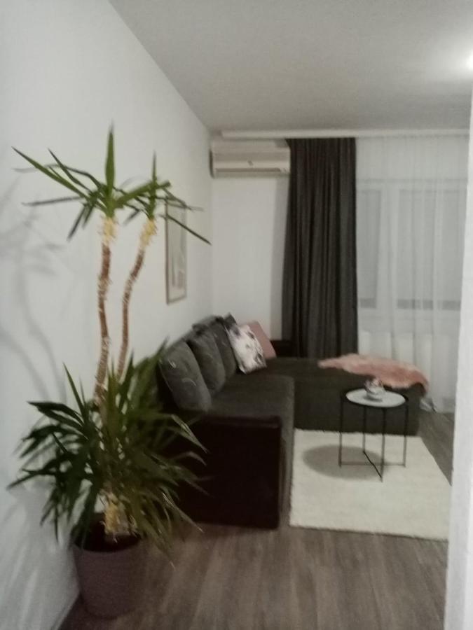 Apartmán Apartman Aleksic Jagodina Exteriér fotografie