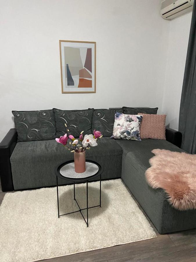 Apartmán Apartman Aleksic Jagodina Exteriér fotografie