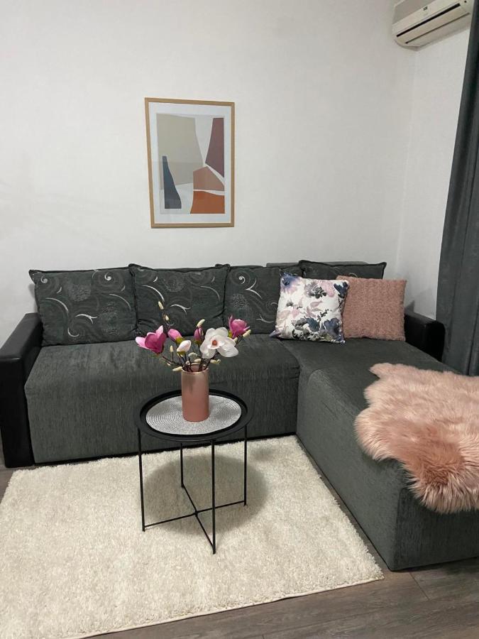 Apartman Aleksic Jagodina Exteriér fotografie