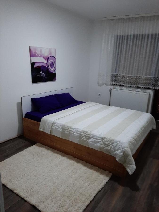 Apartmán Apartman Aleksic Jagodina Exteriér fotografie