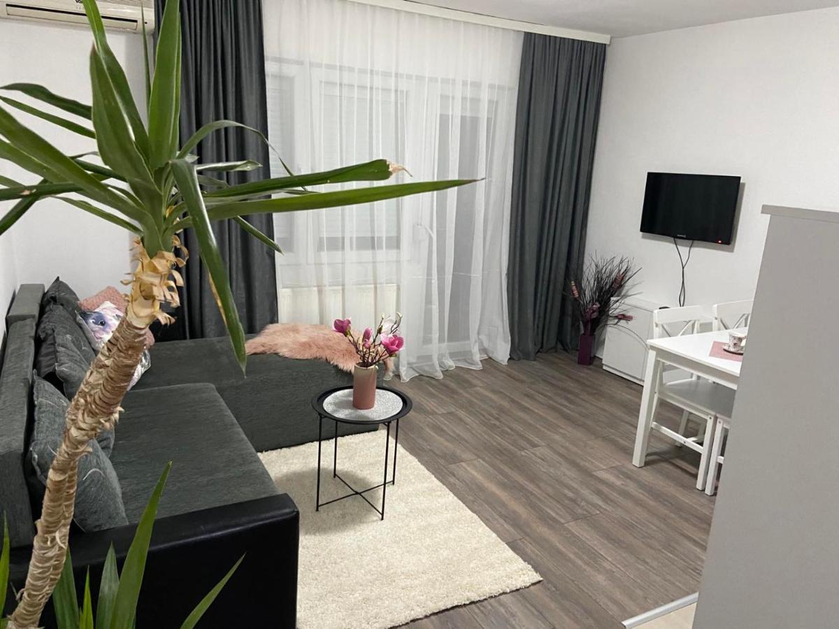 Apartmán Apartman Aleksic Jagodina Exteriér fotografie