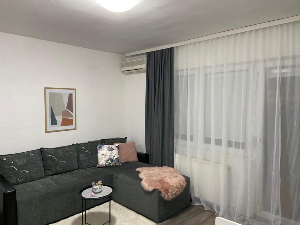 Apartmán Apartman Aleksic Jagodina Exteriér fotografie