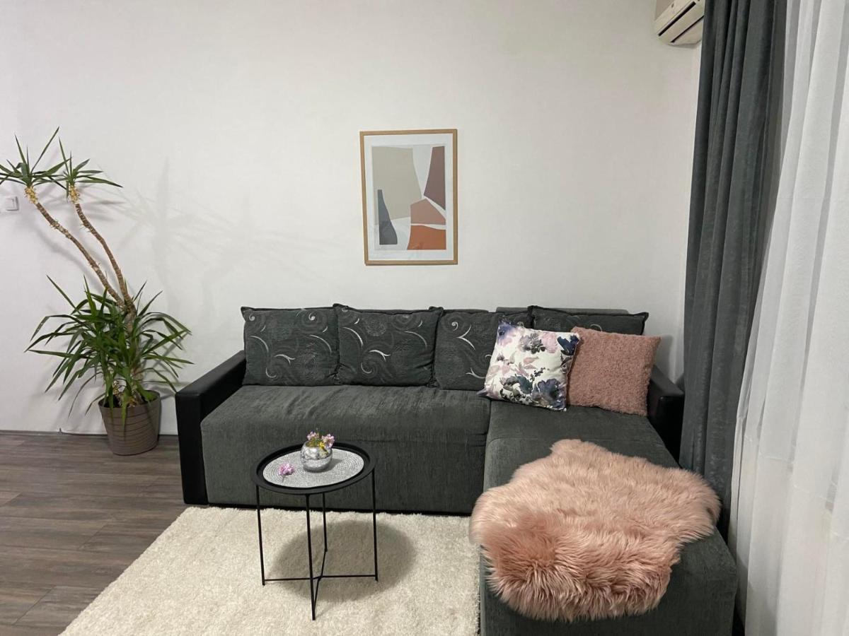 Apartman Aleksic Jagodina Exteriér fotografie